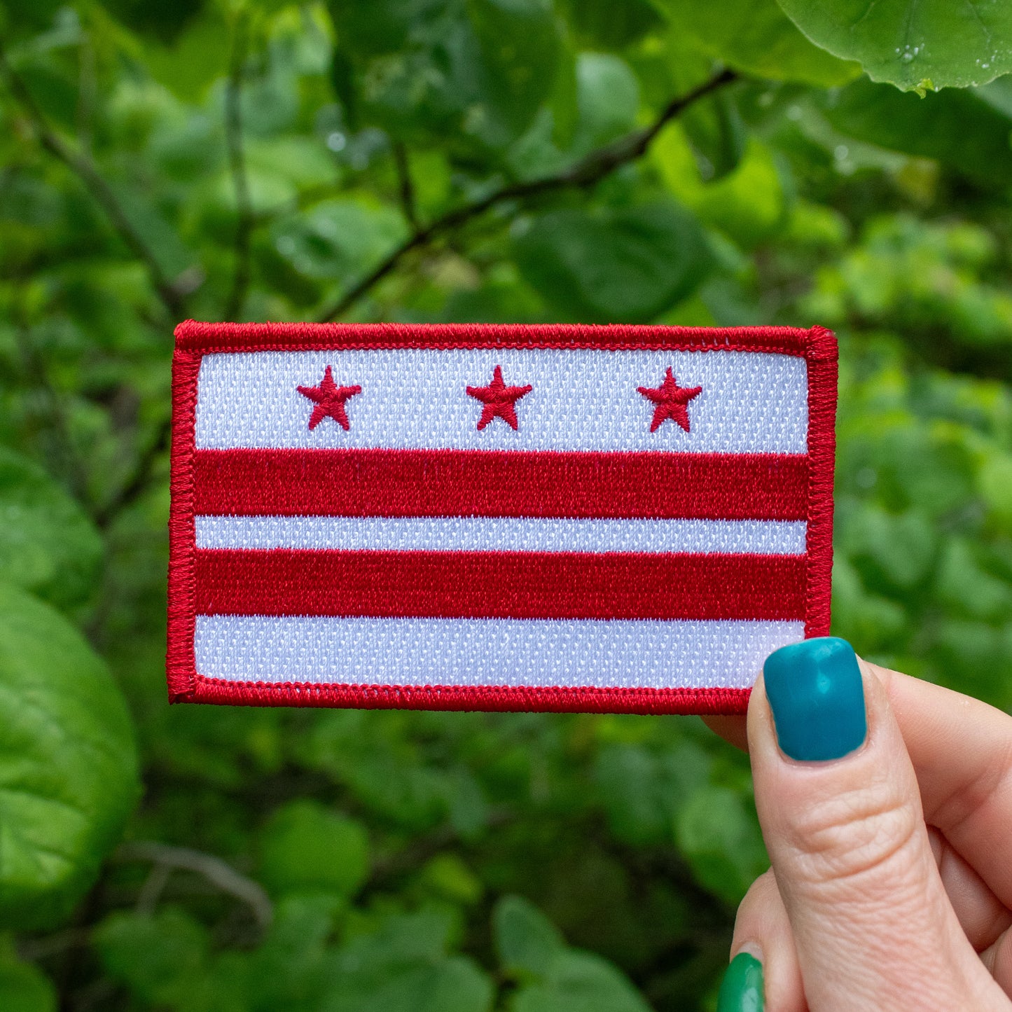 Washington, D.C. Flag