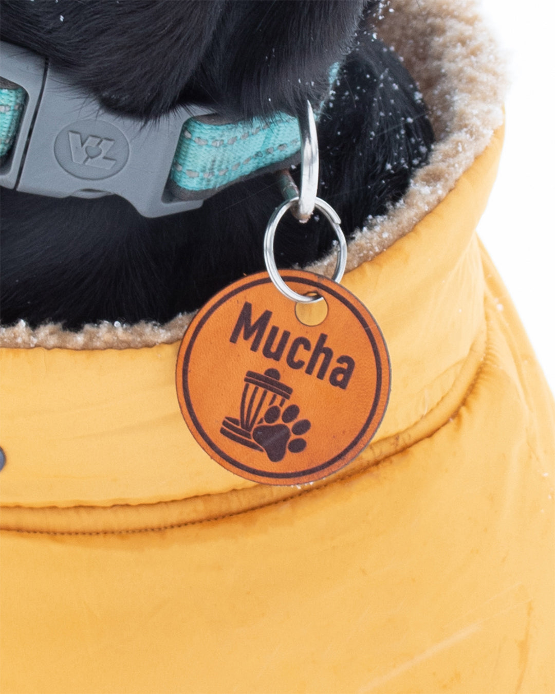 Custom Leather Disc Golf Dog Tag
